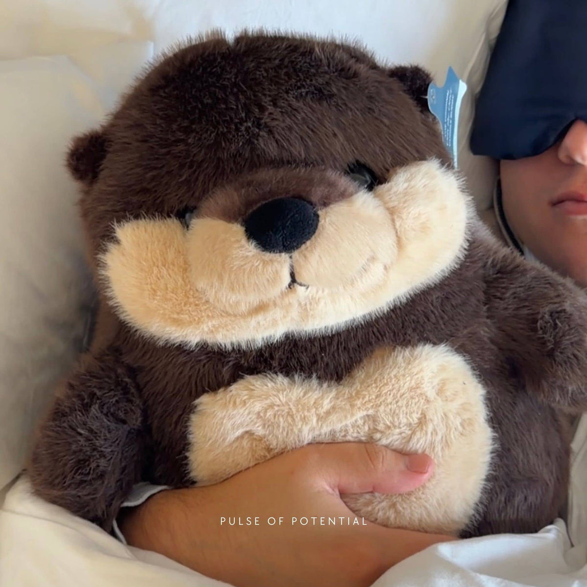 Otis der Otter gewichtetes Kuscheltier