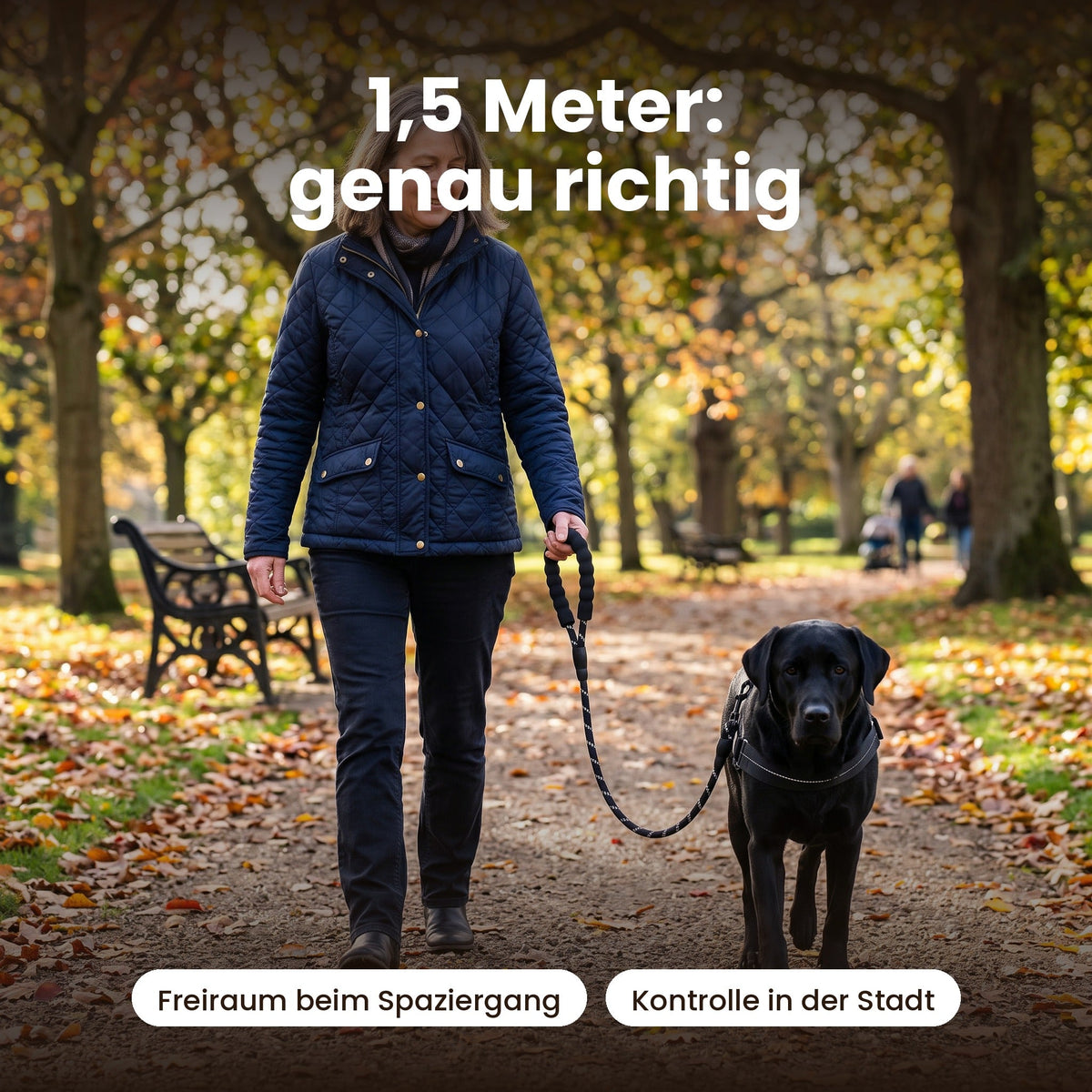 Gassi-Leine 1,5m