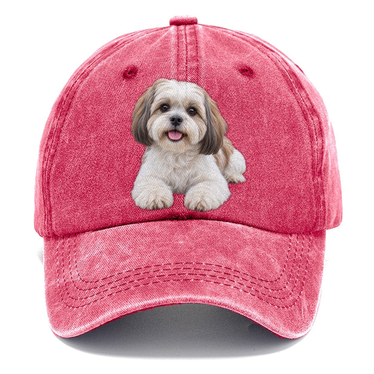 Shih Tzu Liegend Top Rassen Classic Kappe