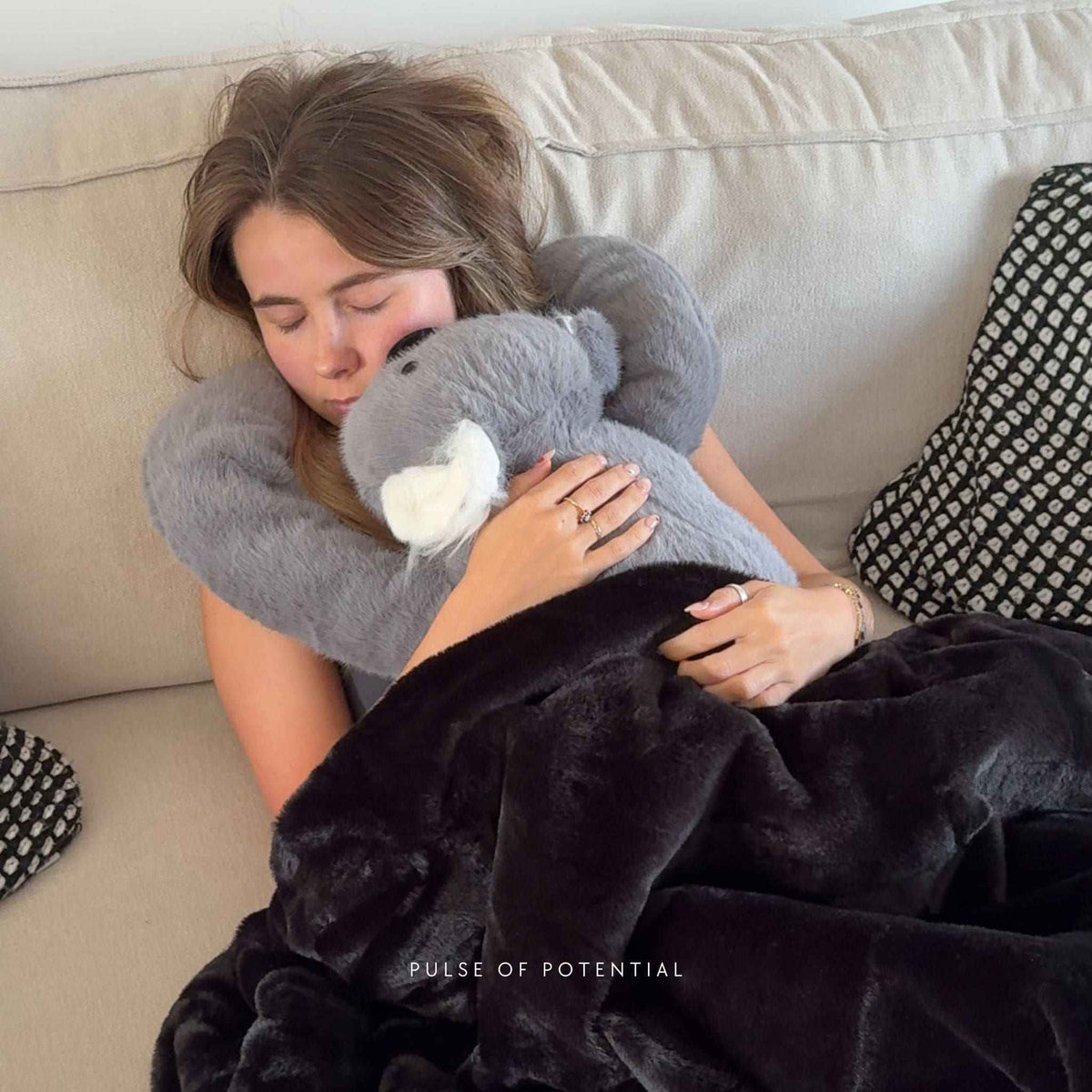 Koko der Koala Gewichtstier