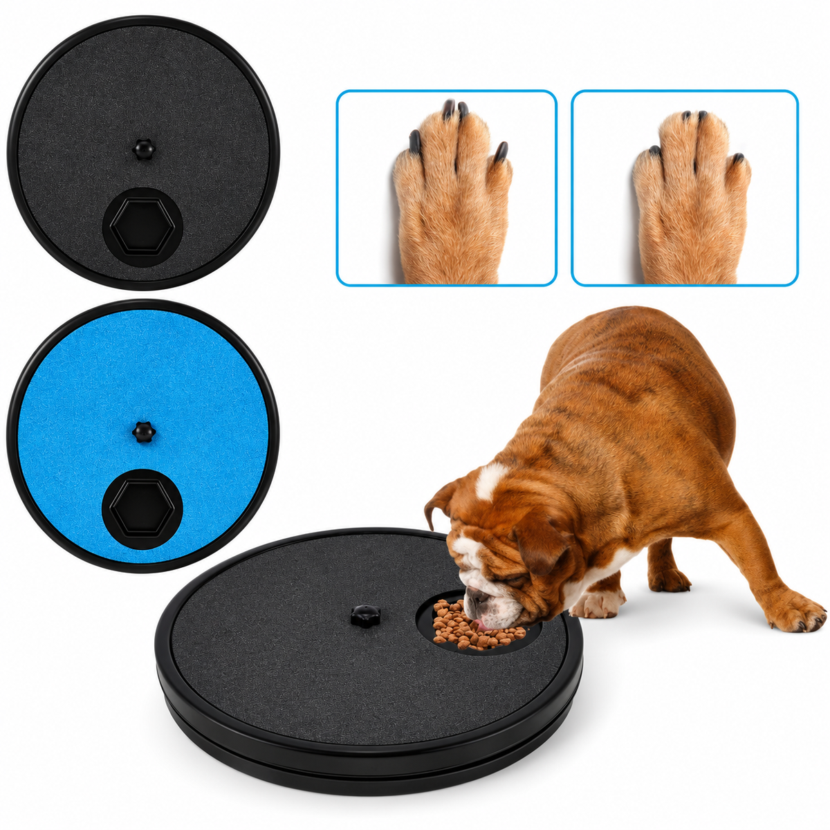Drehbares Kratzboard mit Leckerli-Fächern für Hunde & Katzen
